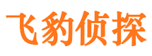 沁源市调查公司